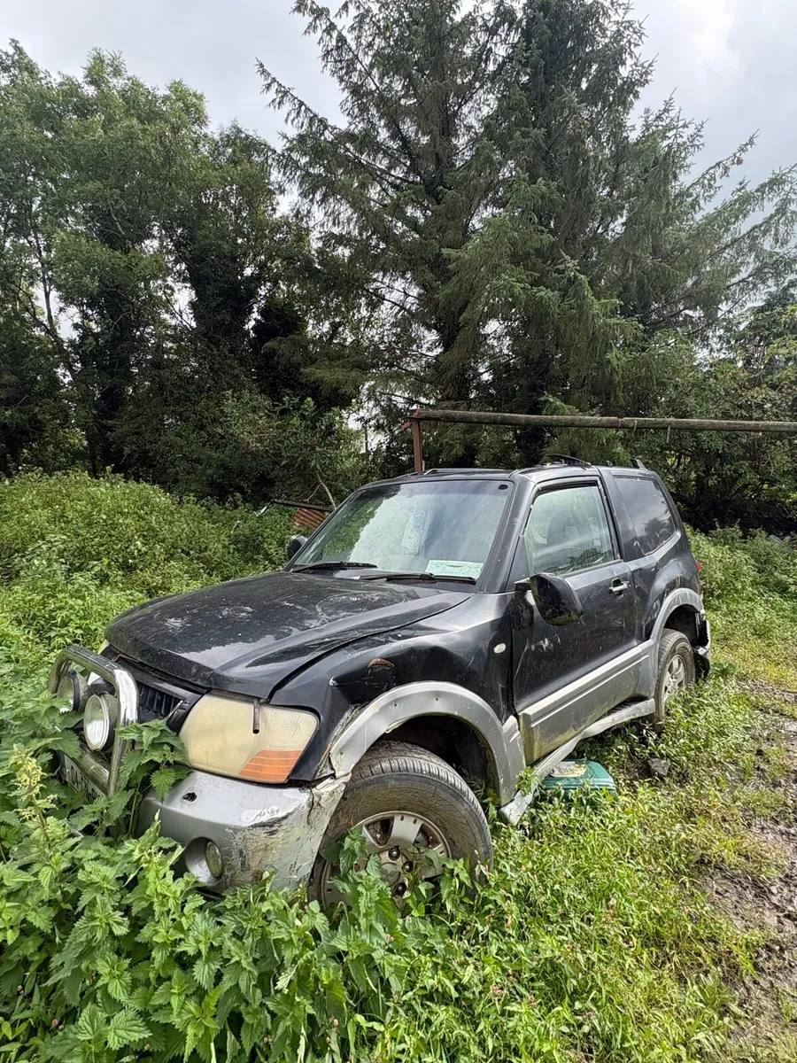2010 Berlingo and 2004 Pajero - Image 2