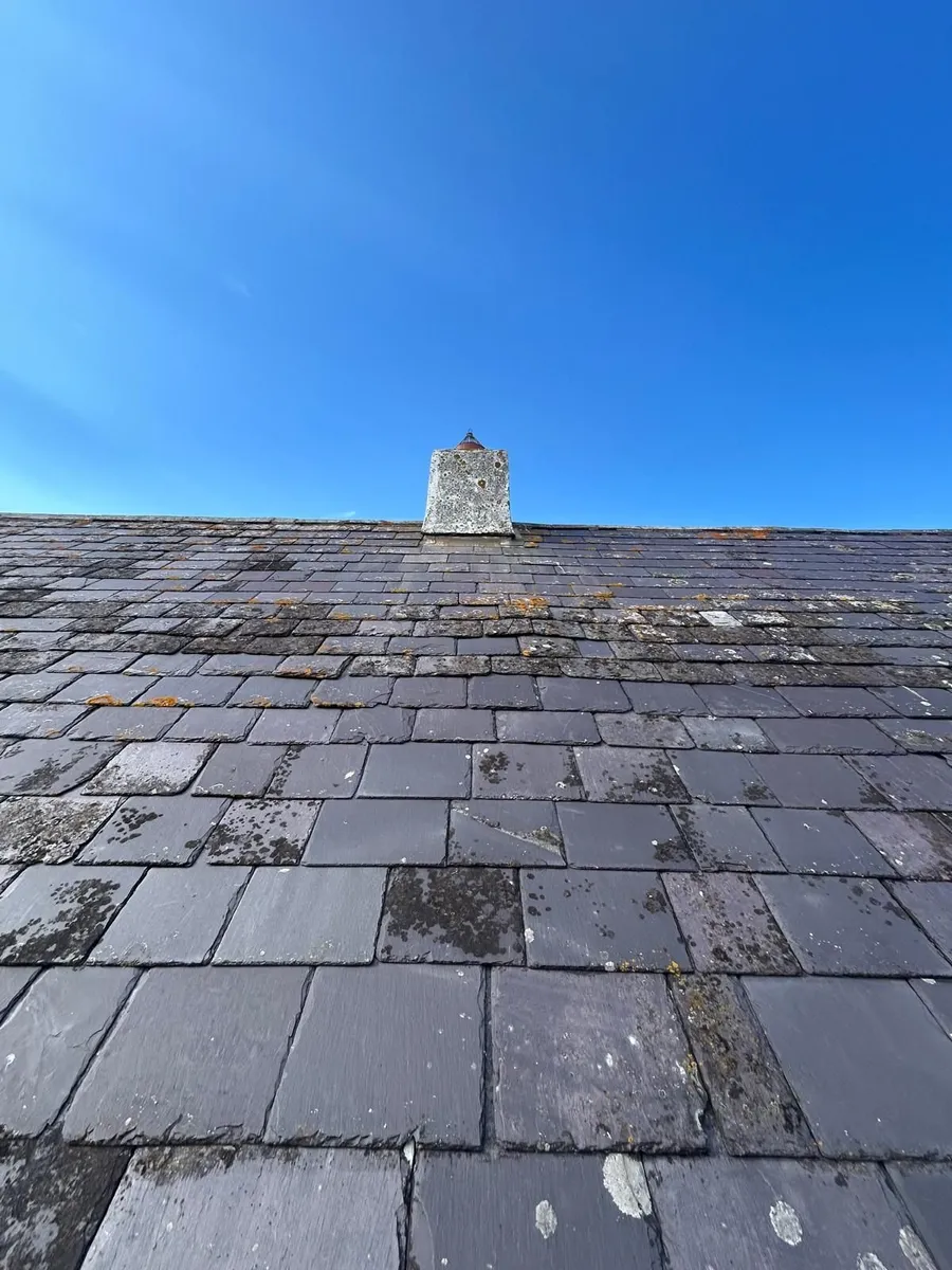 Natural blue bangor slates - Image 1