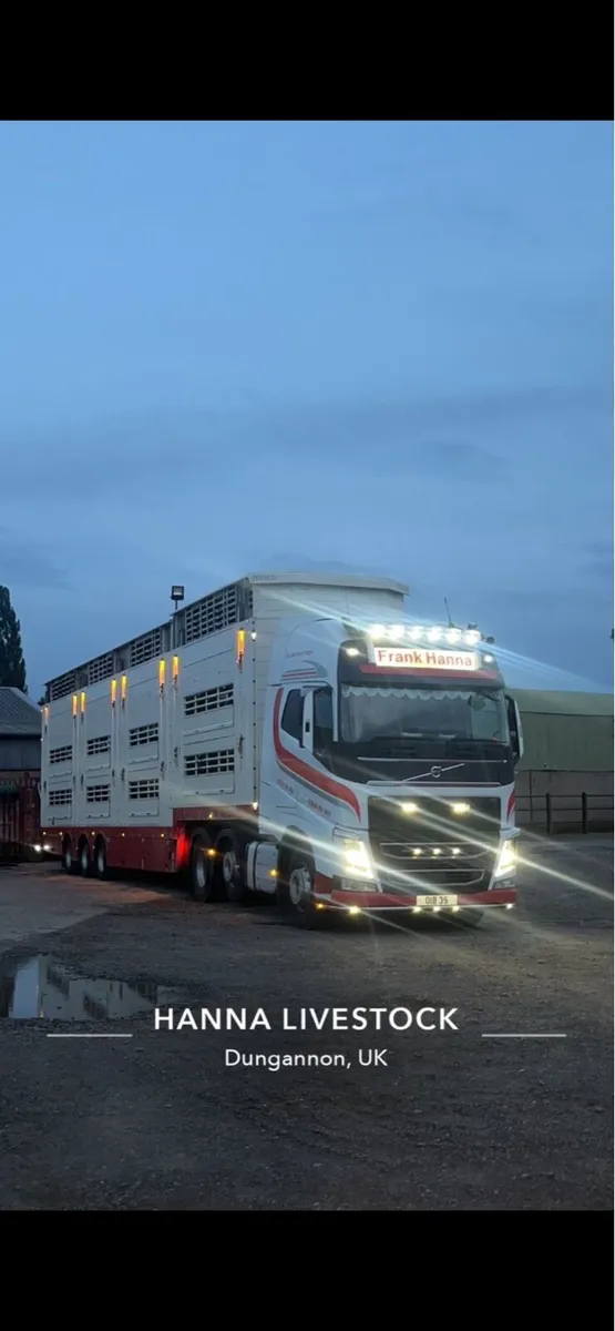 Pezzaioli livestock Trailer - Image 2