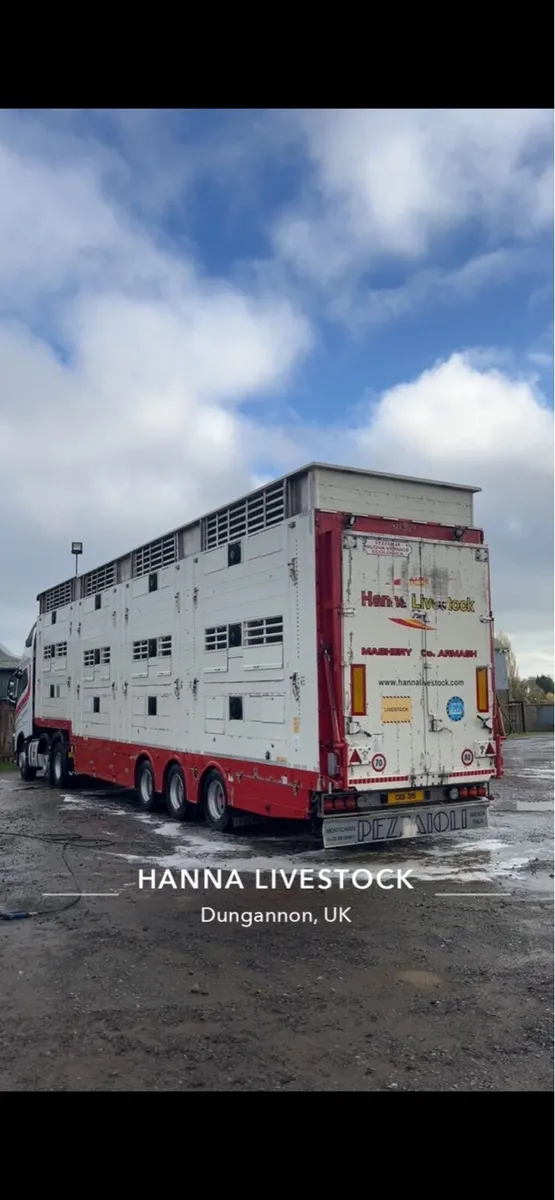 Pezzaioli livestock Trailer - Image 3