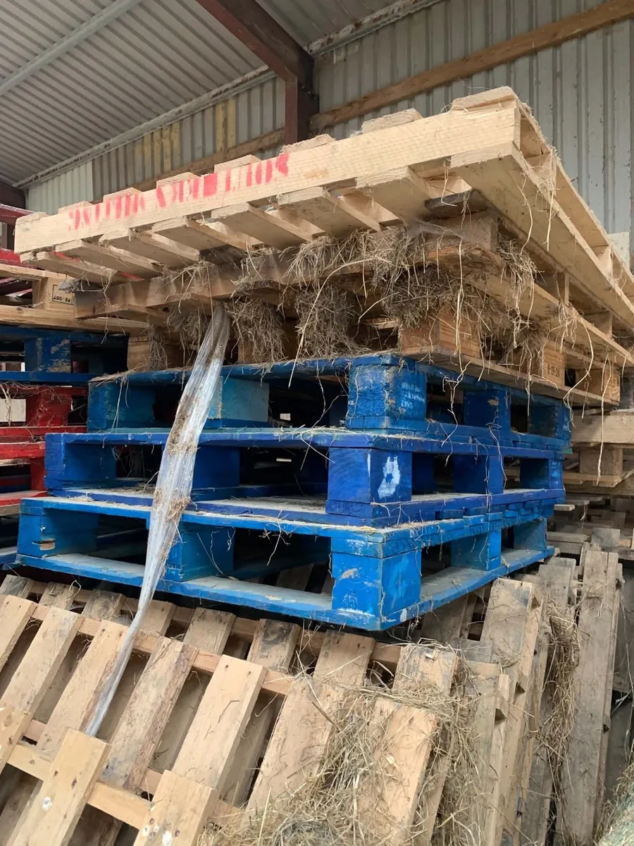 Pallets - Image 2
