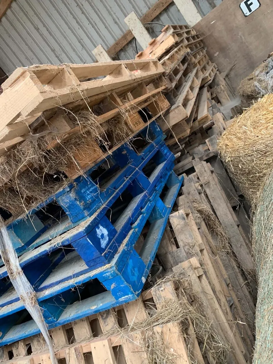 Pallets - Image 3