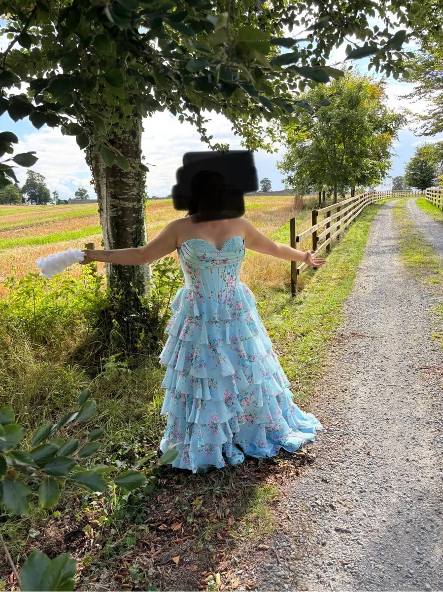 Debs/Evening Dress - Image 4