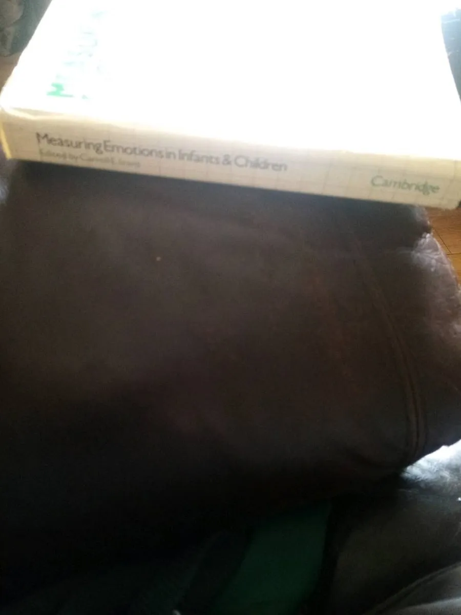 Book - Image 2