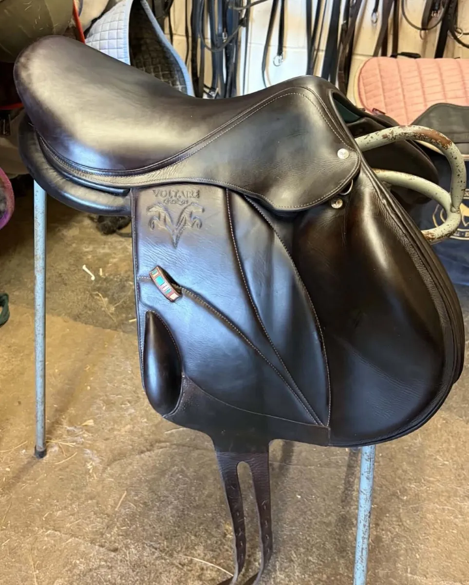 Voltaire Lexington Saddle - Image 2
