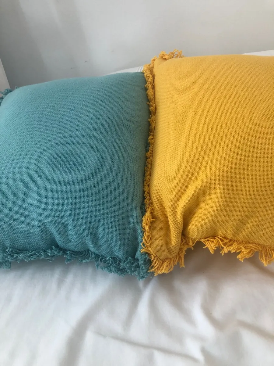Two Pretty Cushions - Image 1