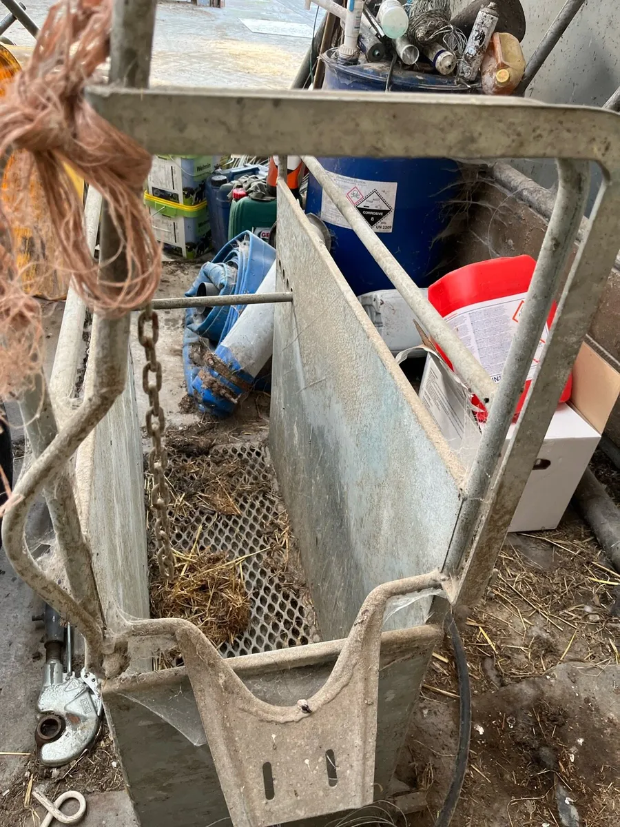Calf dehorning crate - Image 1