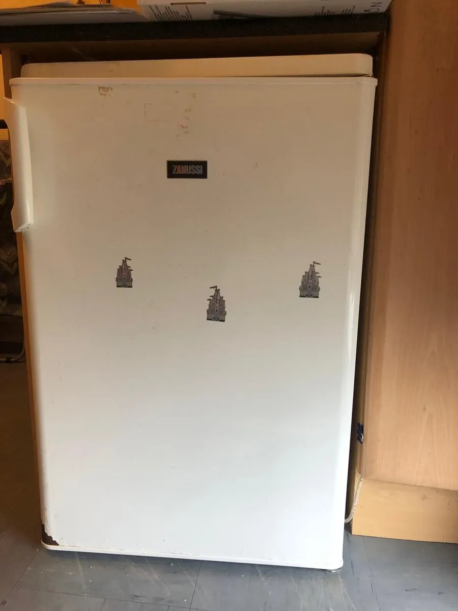 Undercounter Fridge / Freezer & Washing Machine - Image 2