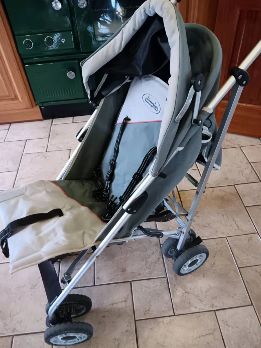 Buggies - Image 1