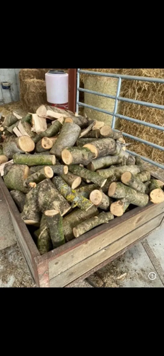 Ash firewood