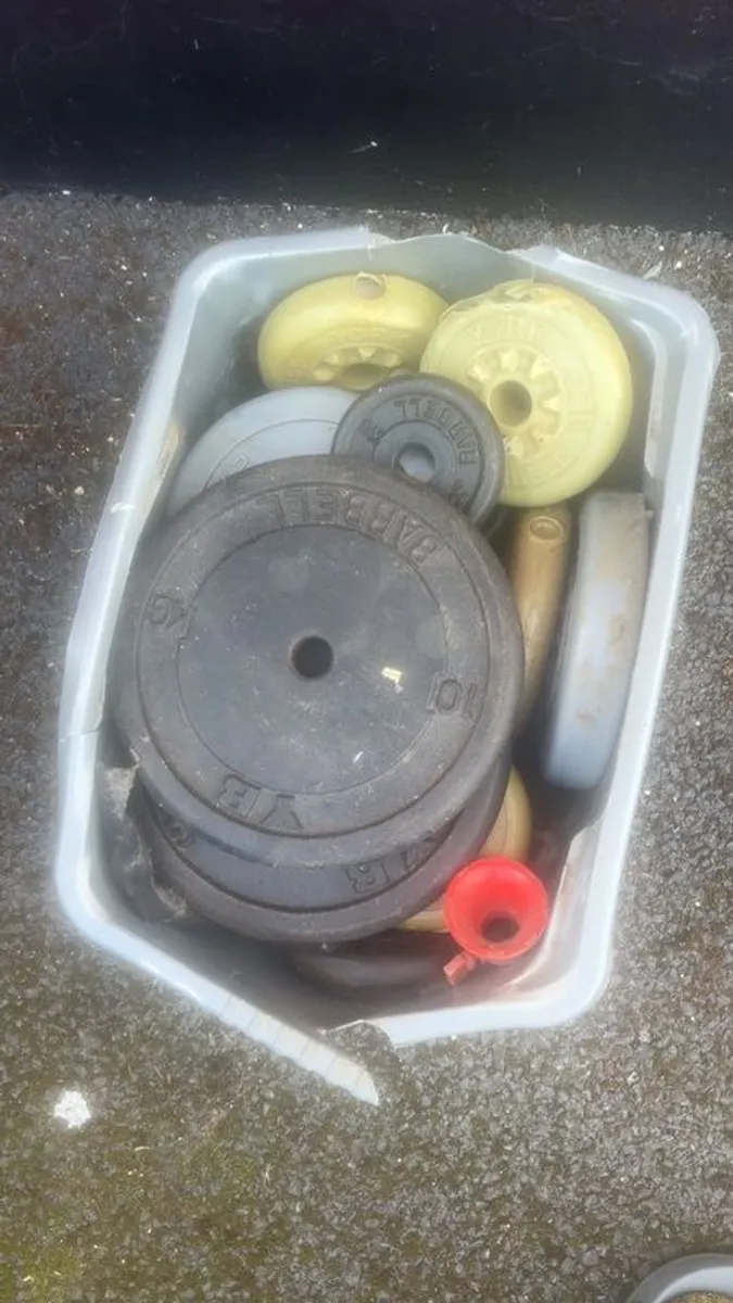 Gym Eq - Image 3