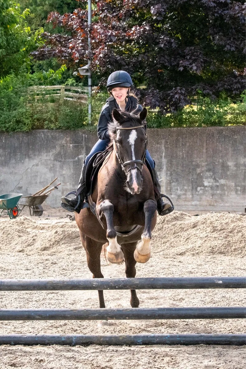 Superstar 15’2 family mare - Image 2