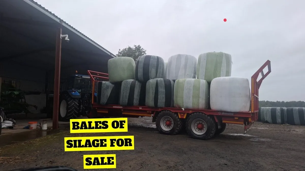 Round bales silage - Image 1