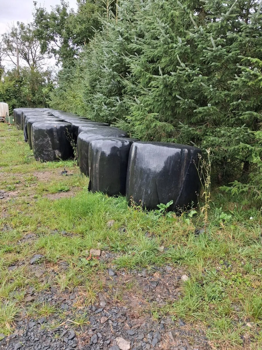 Silage Bales ,  tractor weight, rear bale spike - Image 1