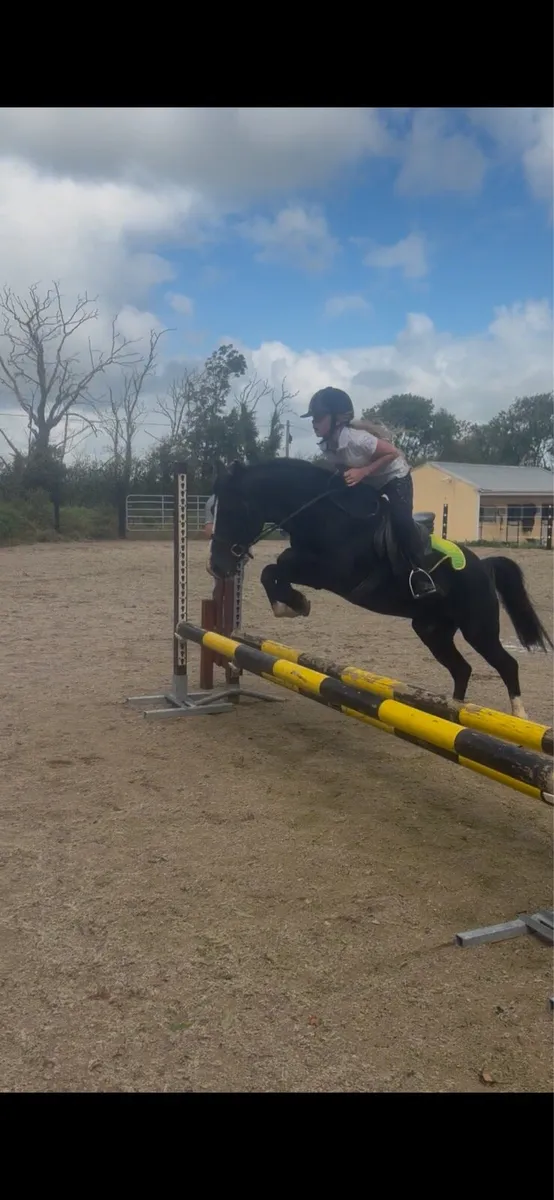 Pony - Image 1