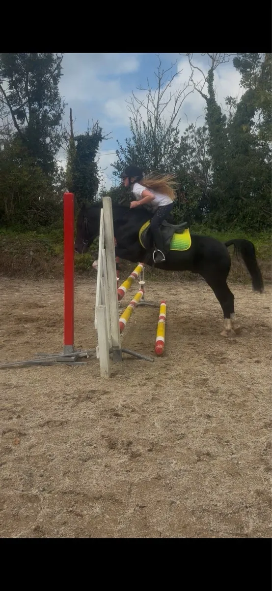 Pony - Image 2