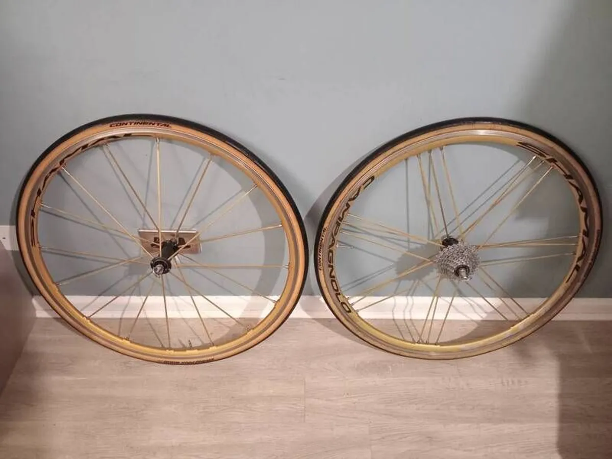 Gold Campagnolo Shamal Wheelset (Super Rare) - Image 1