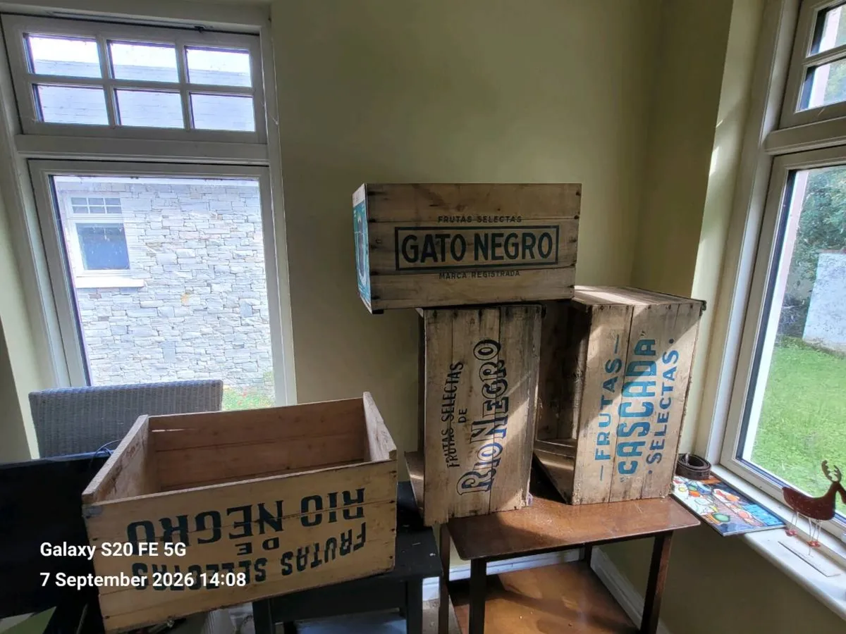 Vintage 1950s Argentine Fruit Crates x 4 - Image 3