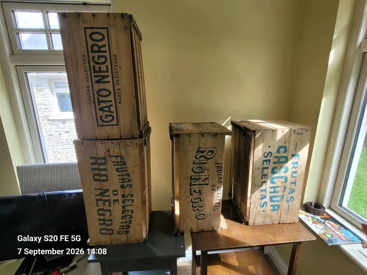 Vintage 1950s Argentine Fruit Crates x 4 - Image 4