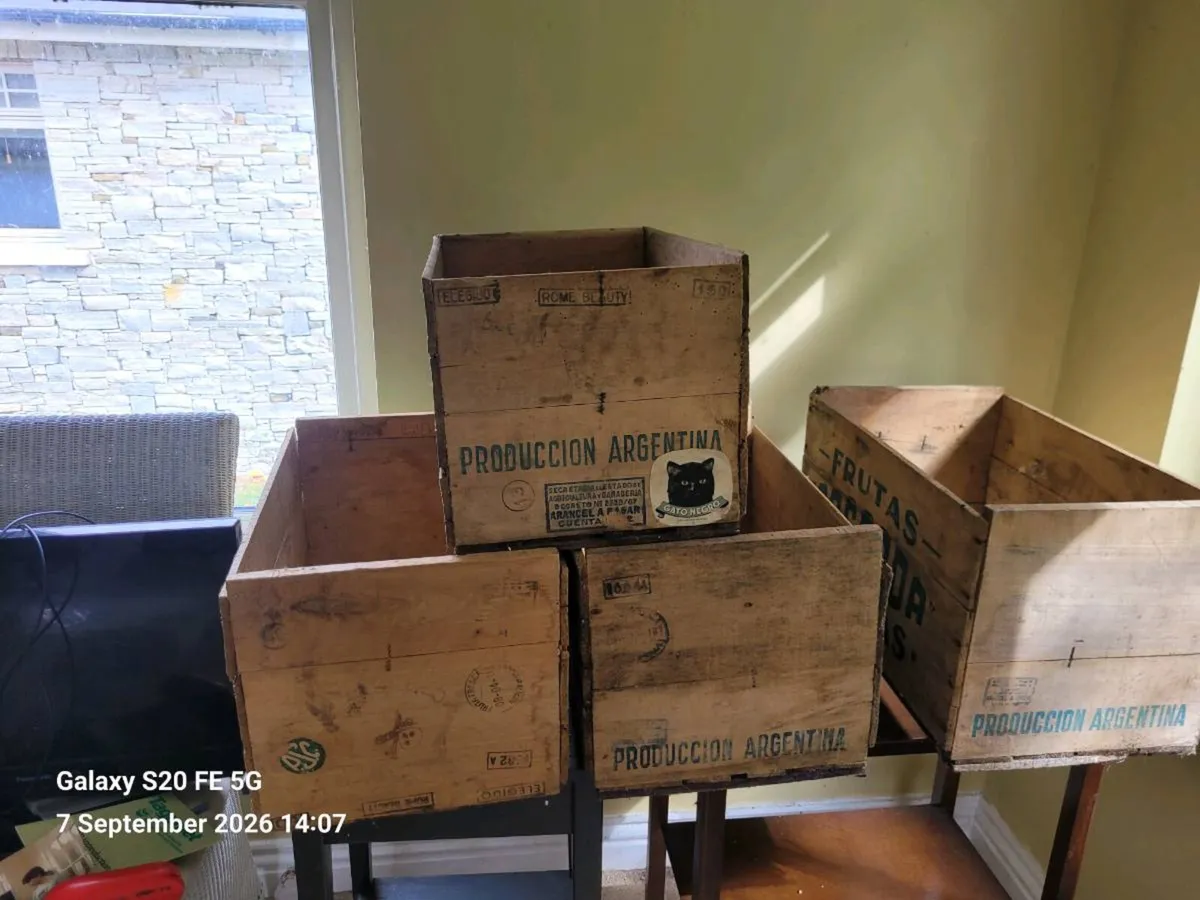 Vintage 1950s Argentine Fruit Crates x 4 - Image 2