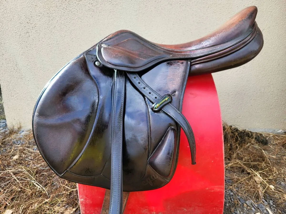 Amerigo Vega Monoflap Saddle - Image 1