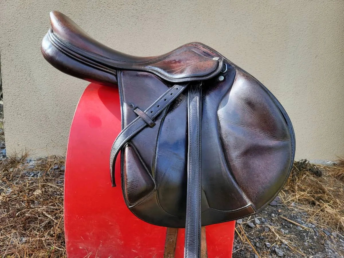 Amerigo Vega Monoflap Saddle - Image 2