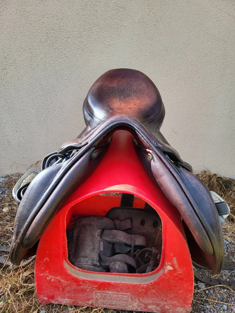 Amerigo Vega Monoflap Saddle - Image 3