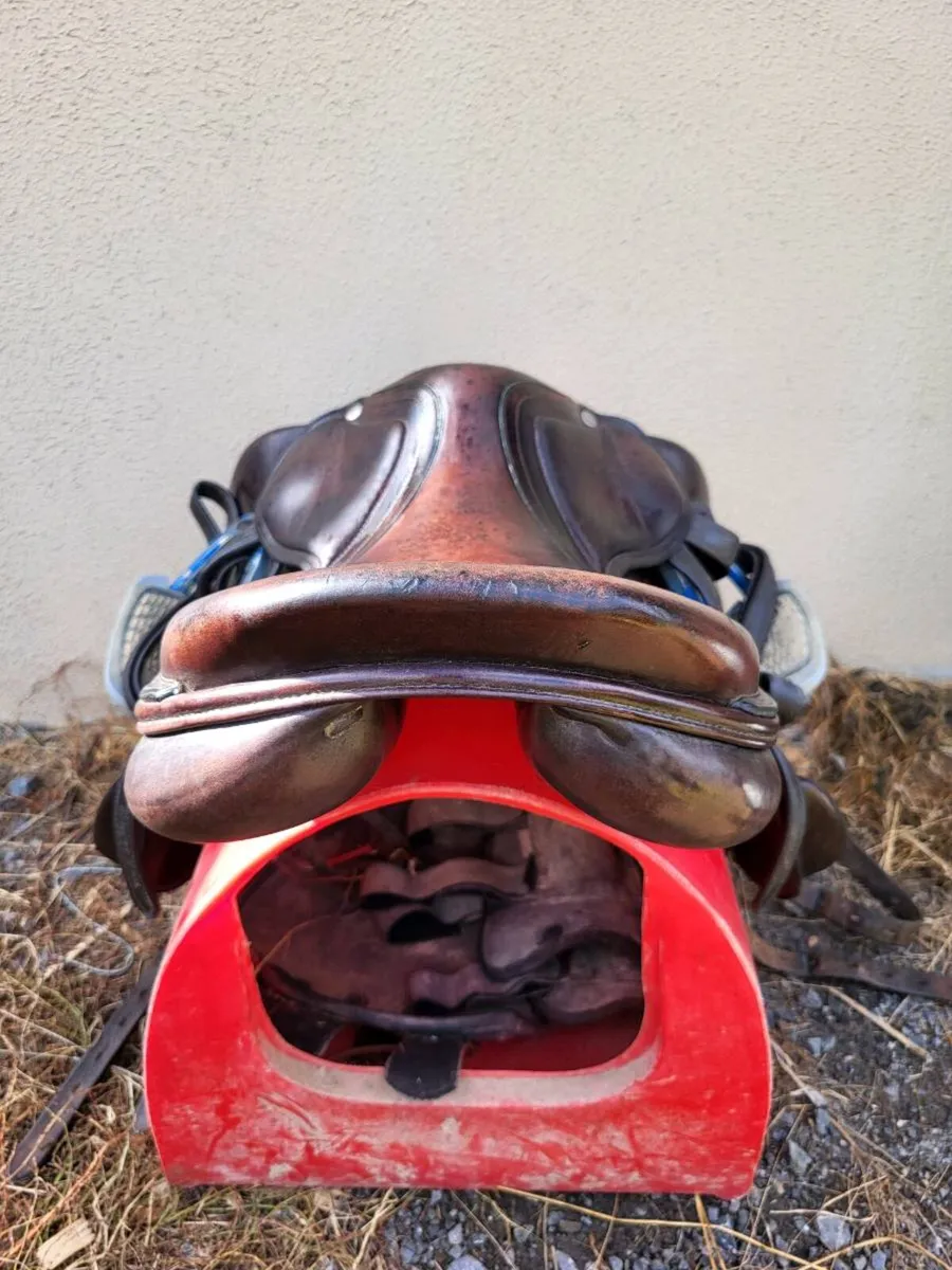 Amerigo Vega Monoflap Saddle - Image 4