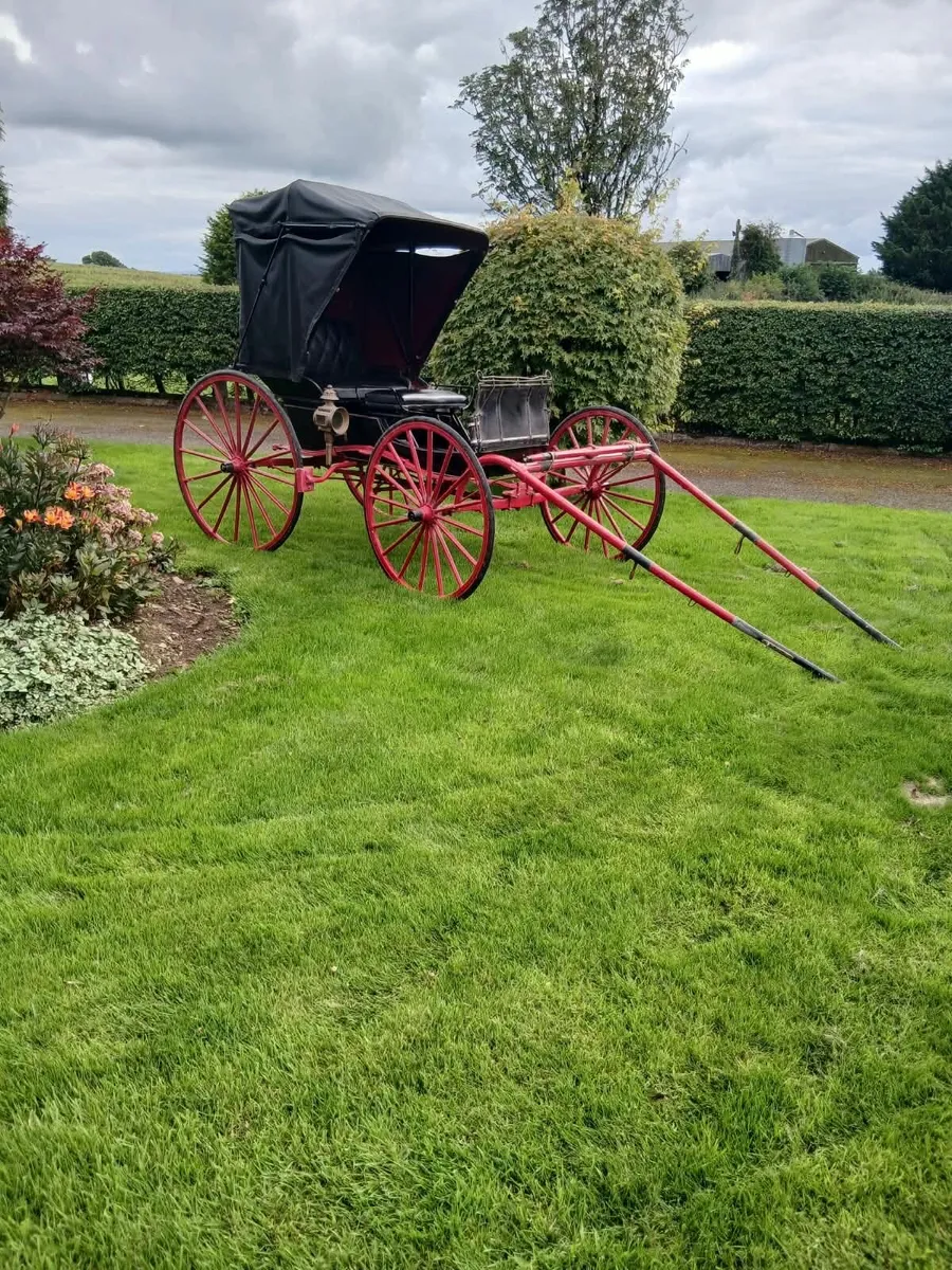 Traditional Horse drawn carriage - Image 1