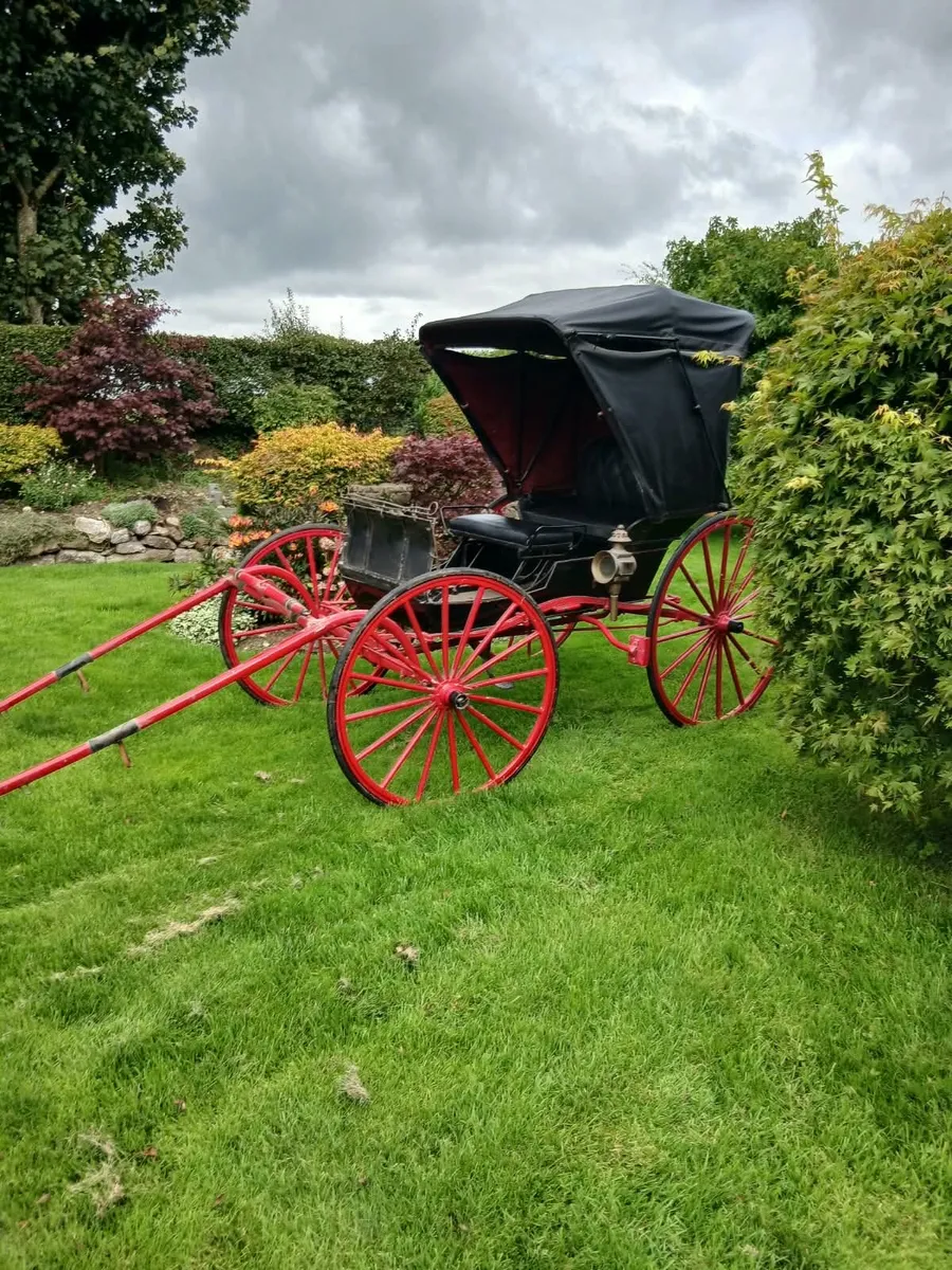 Traditional Horse drawn carriage - Image 3