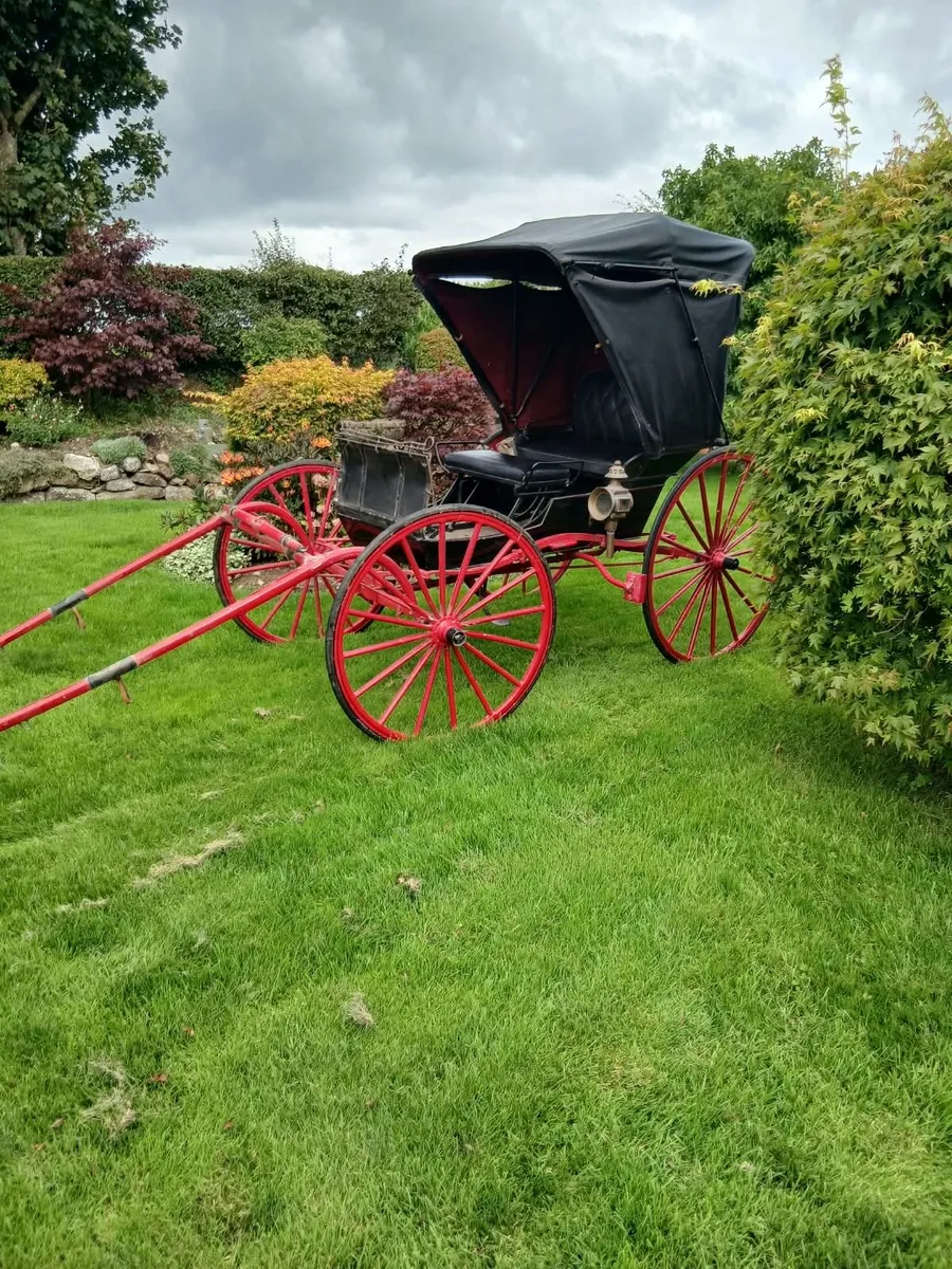 Traditional Horse drawn carriage - Image 4