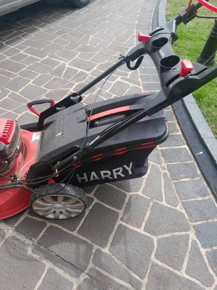 Harry lawnmower - Image 1