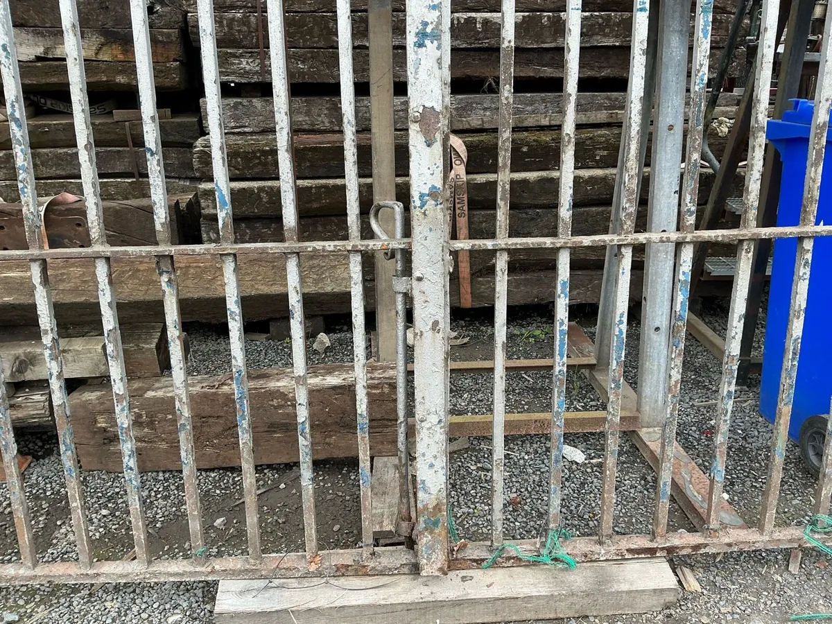 12ft Silver gates - Image 4