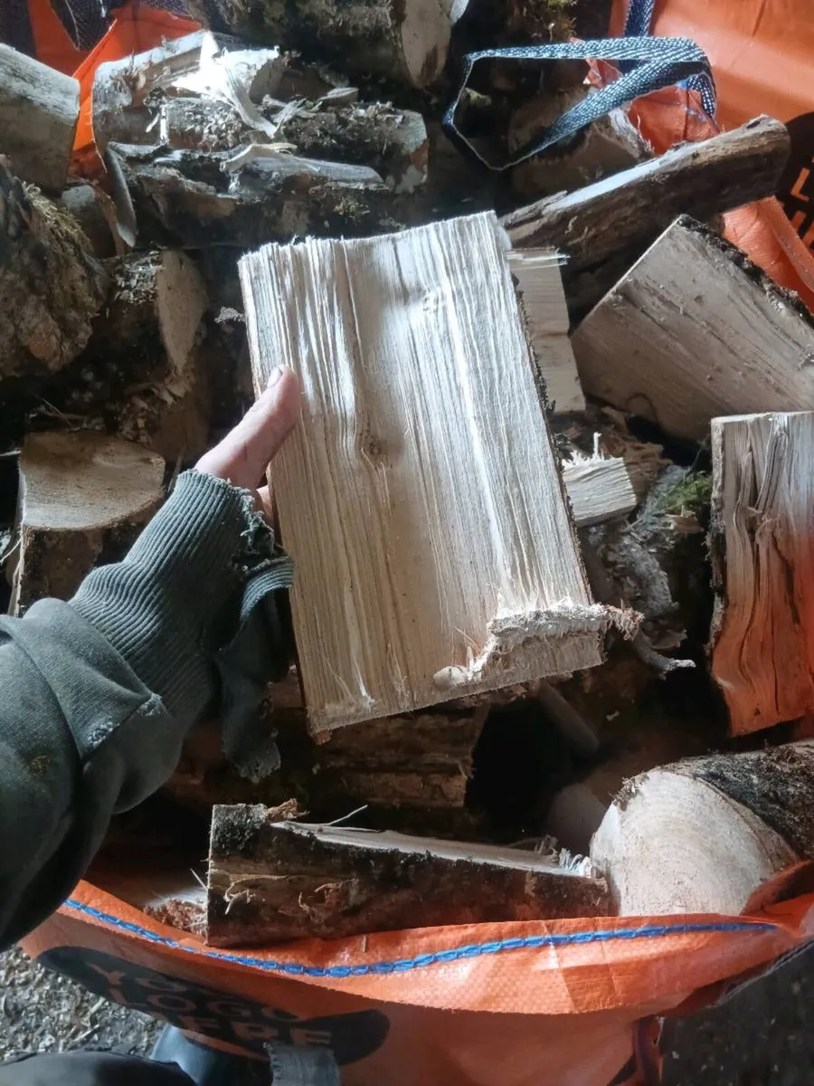 hardwood - Image 2