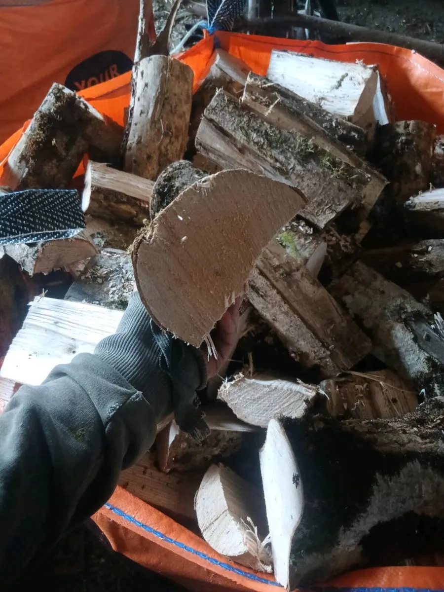 hardwood - Image 3