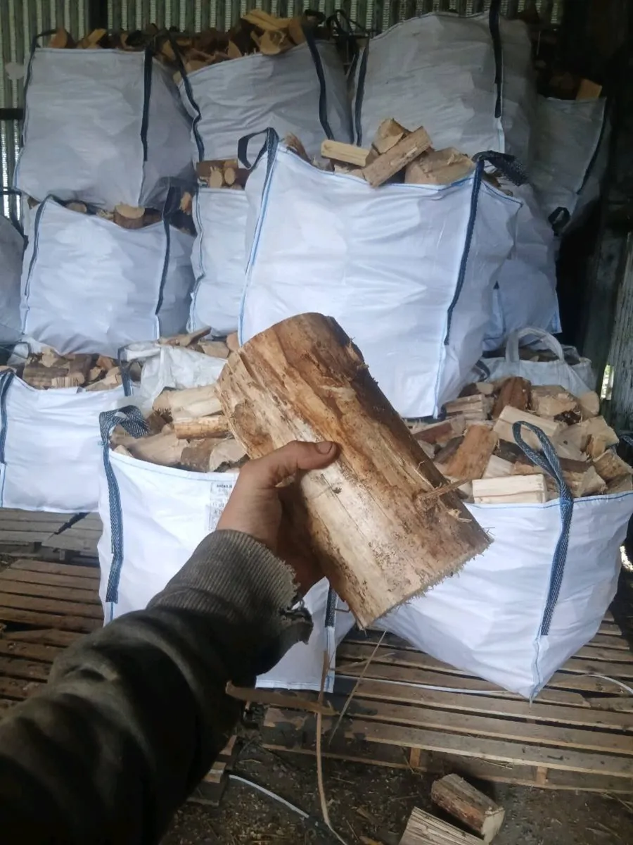 firewood - Image 1