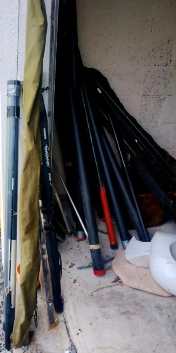 Ultimate Collector's Fishing Arsenal – Massive...