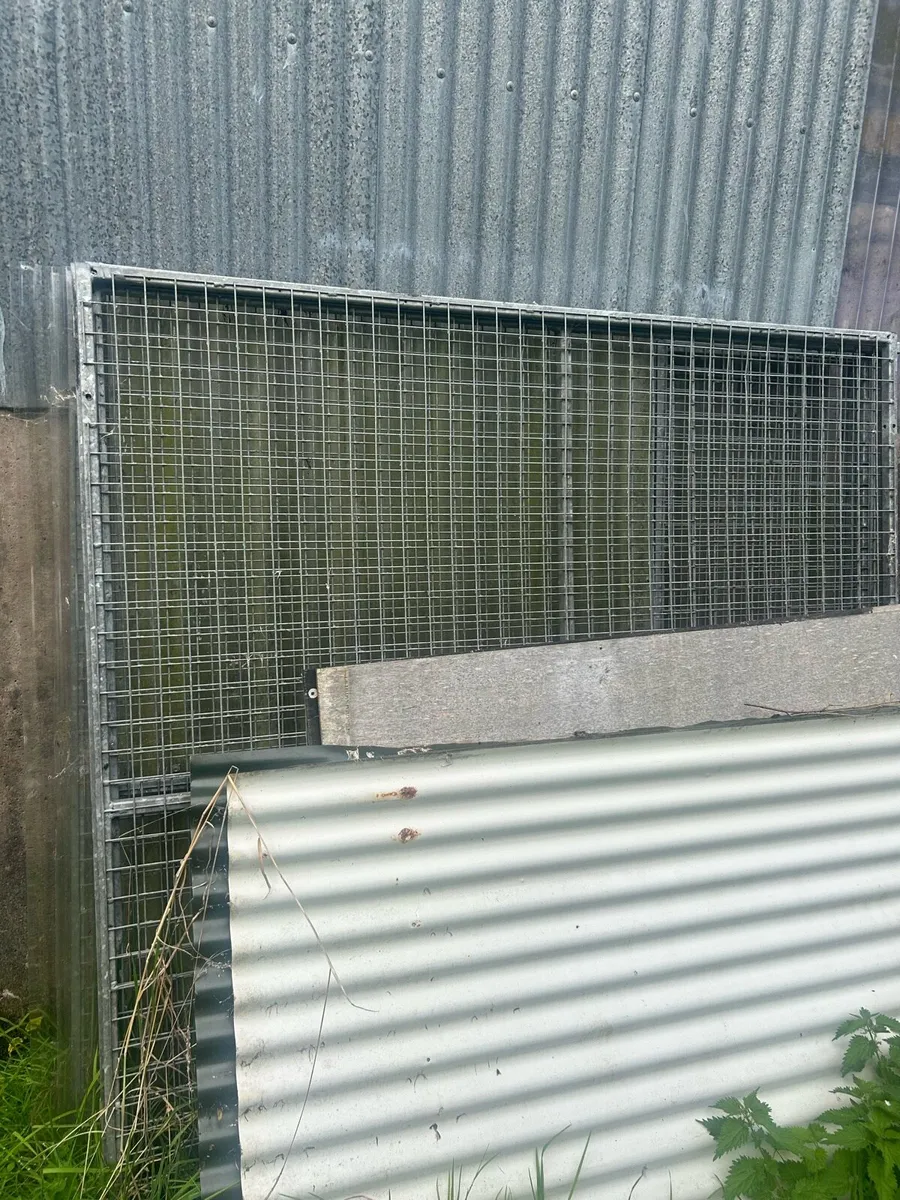 Dog pen - Image 1