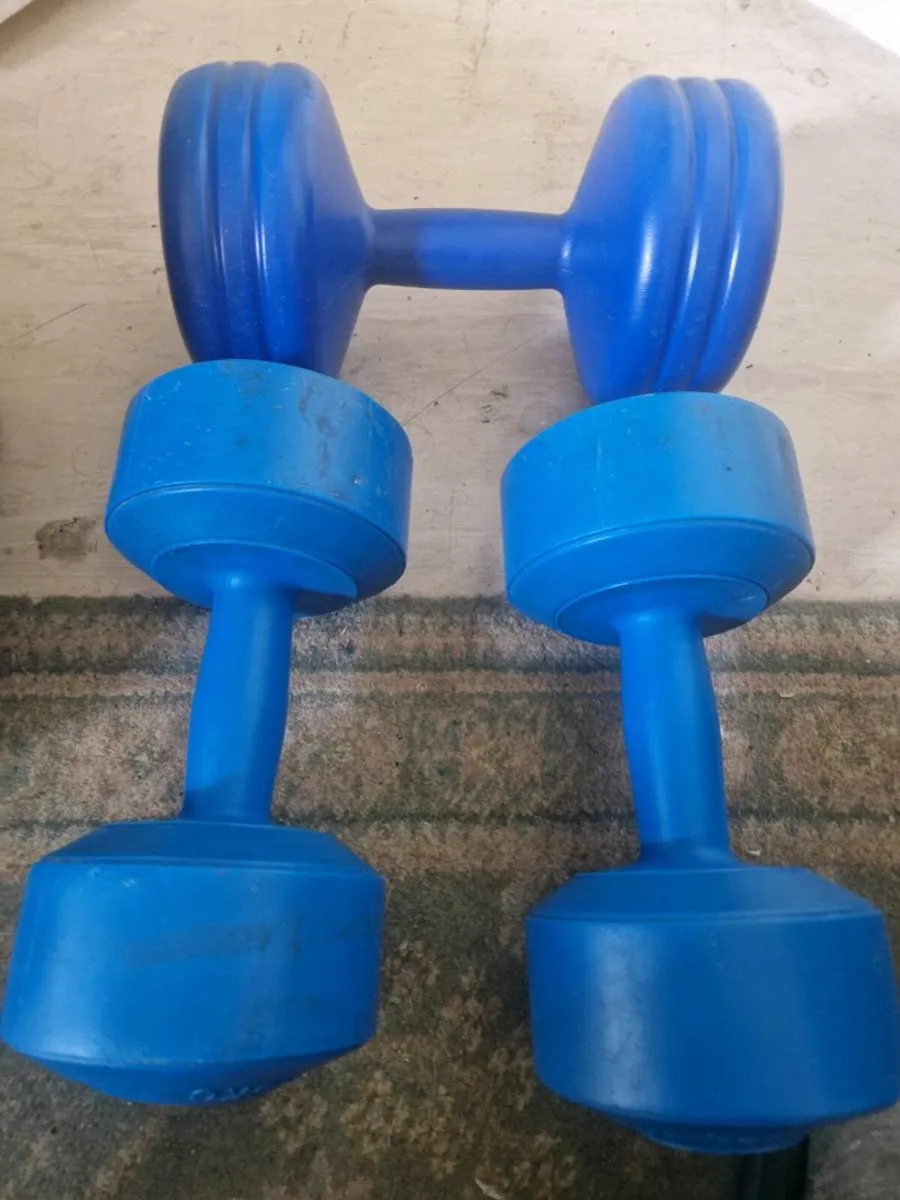 Weights - Image 1
