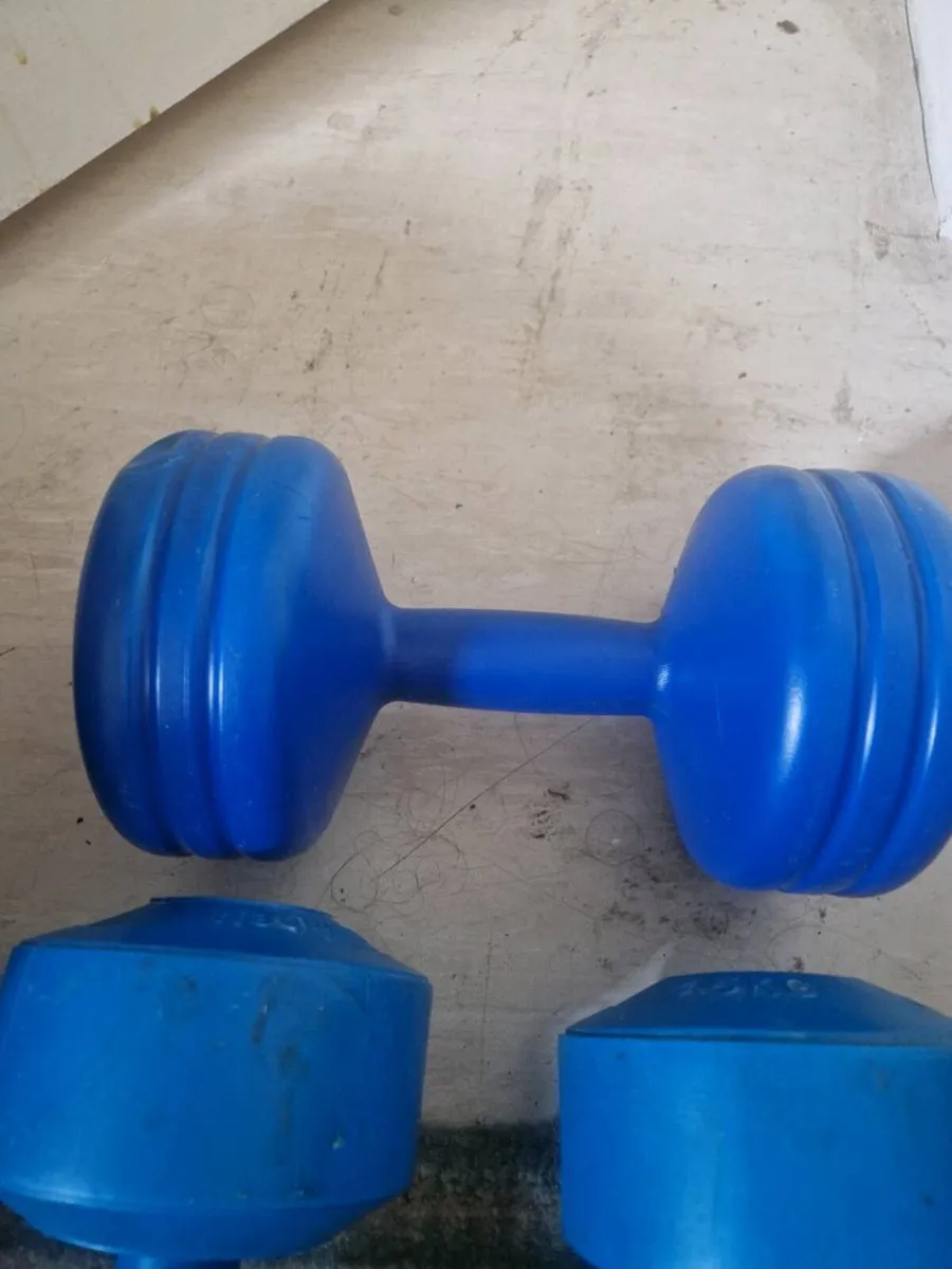 Weights - Image 3