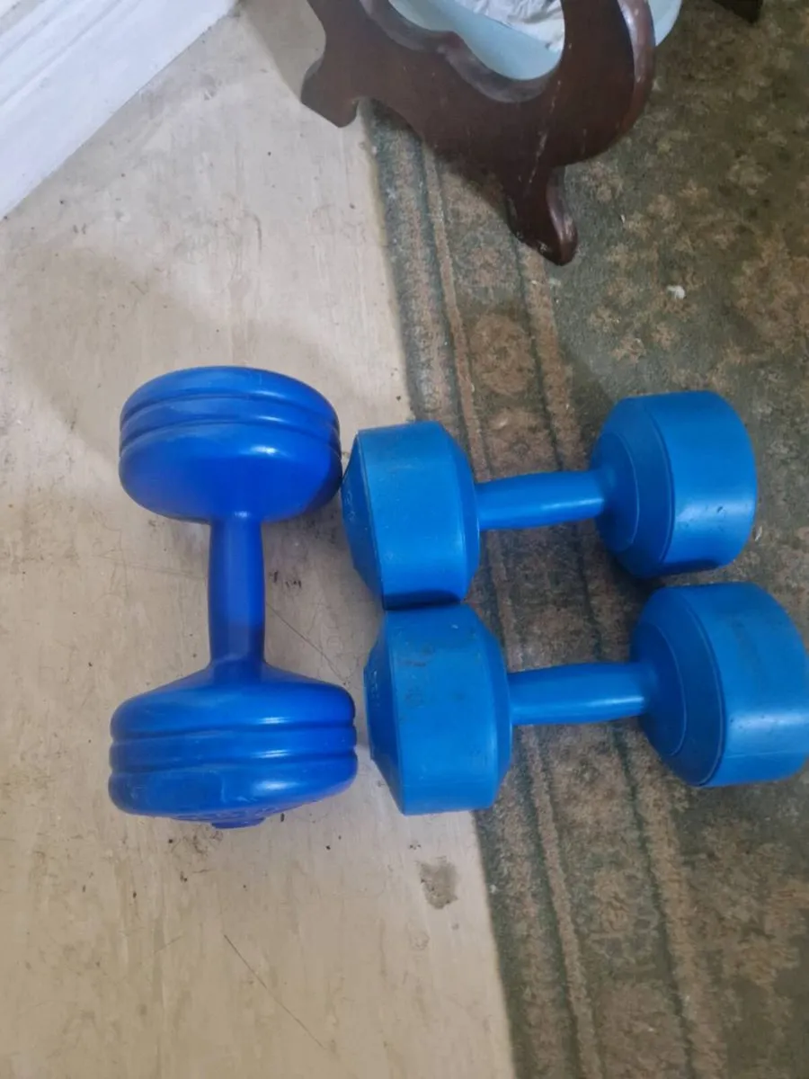 Weights - Image 4