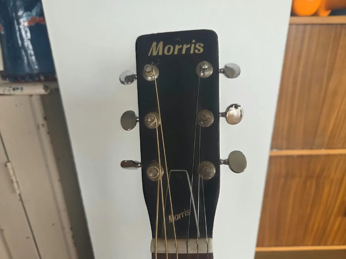 1974 Morris WG-0030 Vintage Japanese Acoustic Guit - Image 3