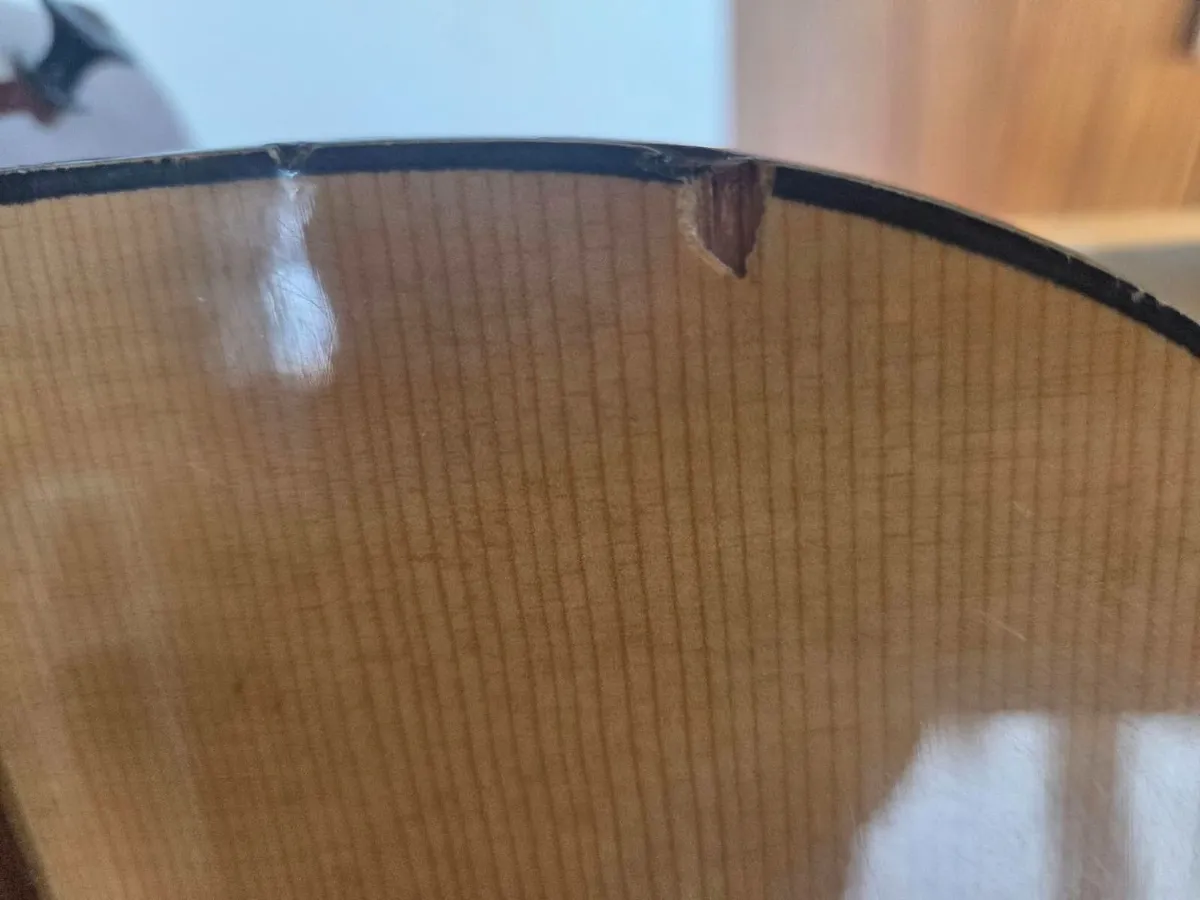 1974 Morris WG-0030 Vintage Japanese Acoustic Guit - Image 4