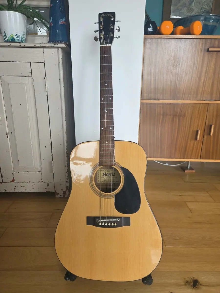 1974 Morris WG-0030 Vintage Japanese Acoustic Guit - Image 1