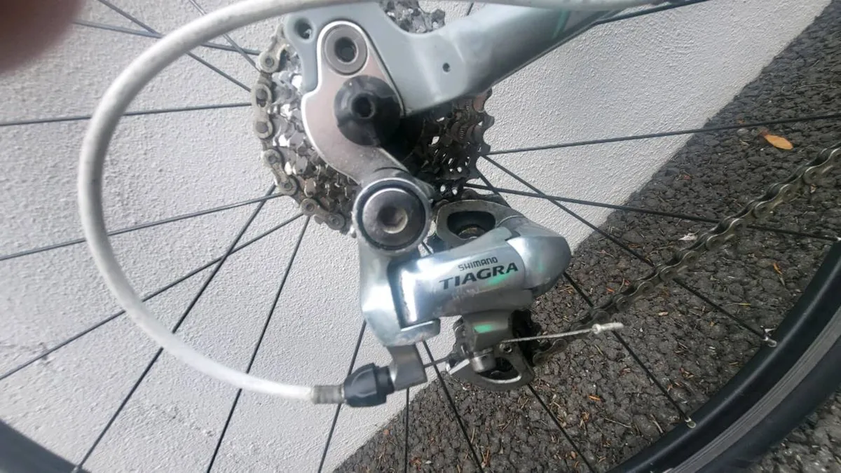 Liv Lexa s bike - Image 2