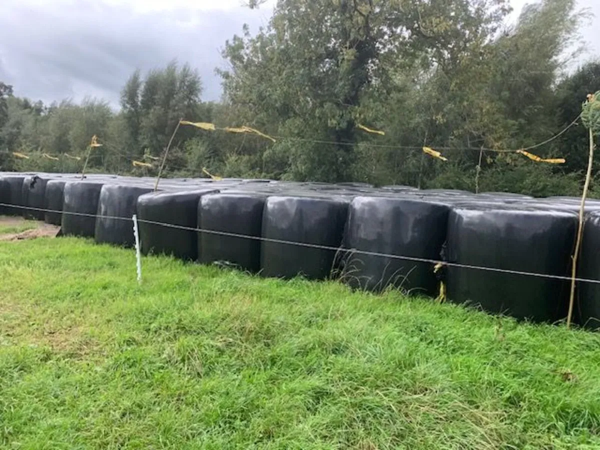 Silage Bales