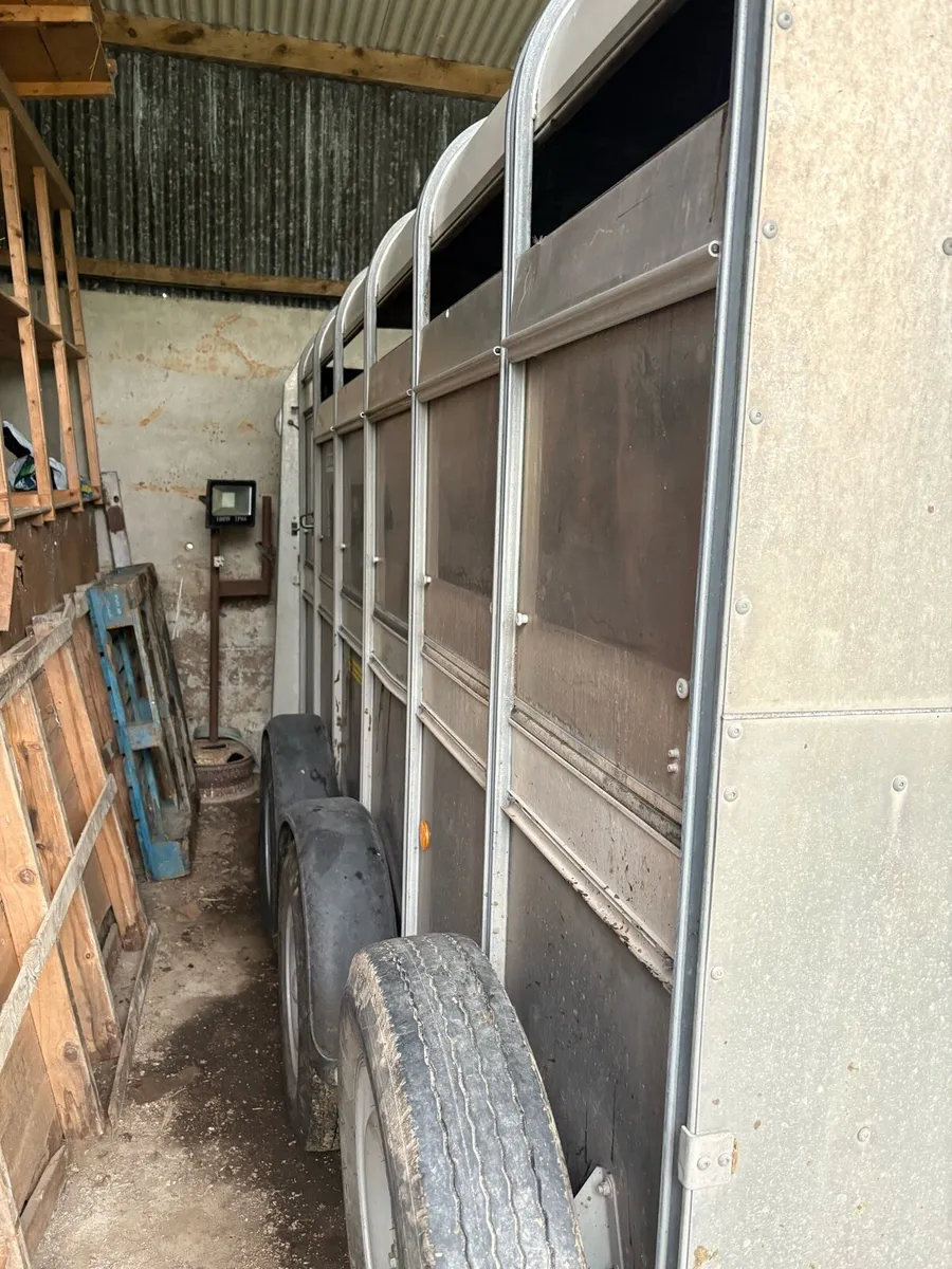 Cattle trailer - Image 2