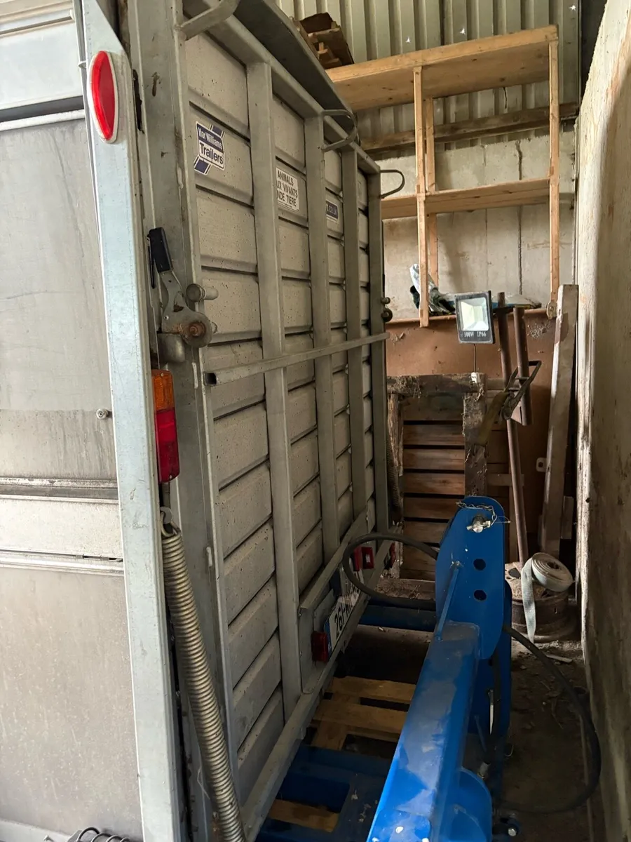 Cattle trailer - Image 3