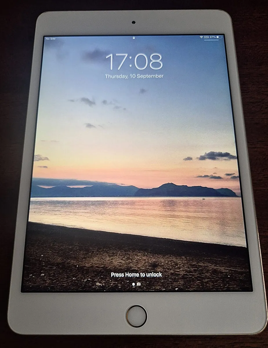 Ipad mini 4, 64GB - Image 1