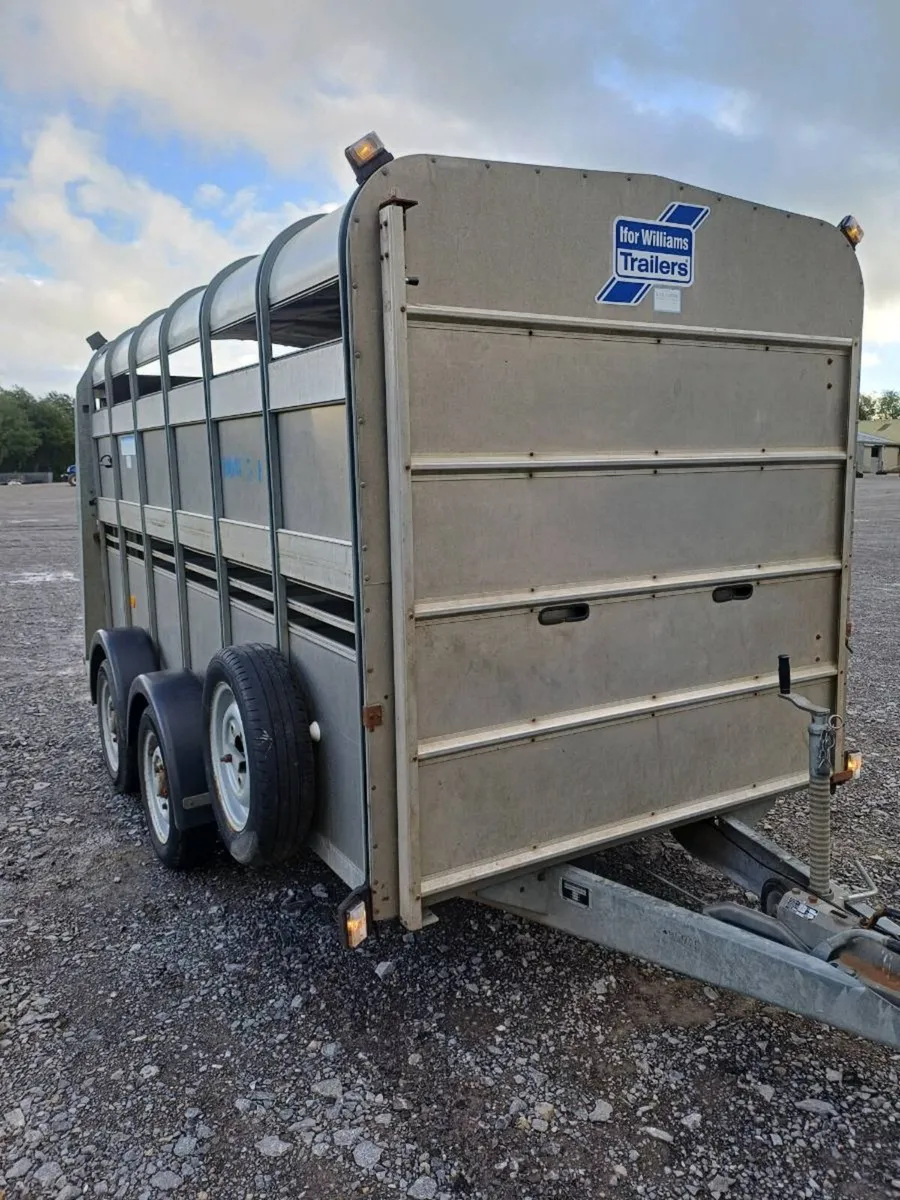 Ifor Williams 12ft cattle trailer €3500 Euros - Image 1